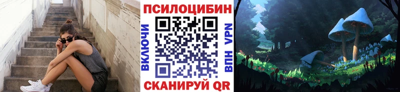 KRAKEN ссылка  Невель  Галлюциногенные грибы прущие грибы 